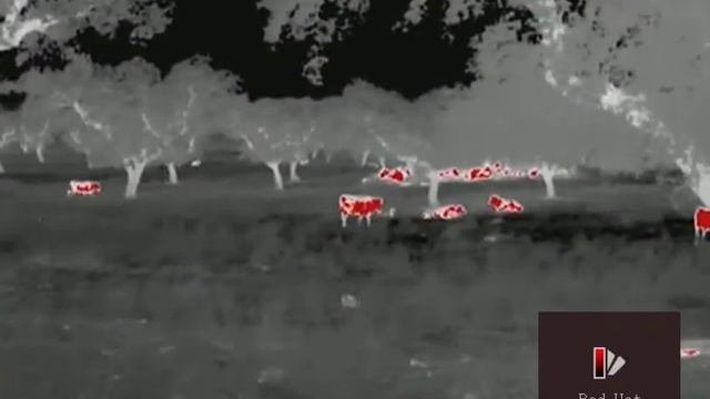 Monoculo Térmico HIKVISION смотреть онлайн