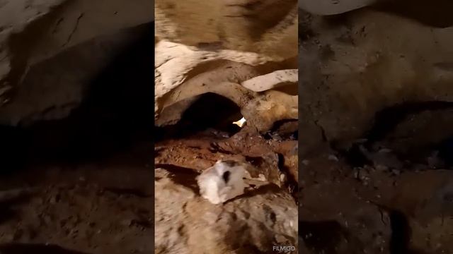 Белая скала (Ак кая) пещера Таврида пвд ПВД 29.10.23. смотреть онлайн