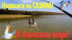 Нарвался на САЗАНА в Азовском море! Леска рвалась, удилища трещали! Ейский лиман. Ейск.