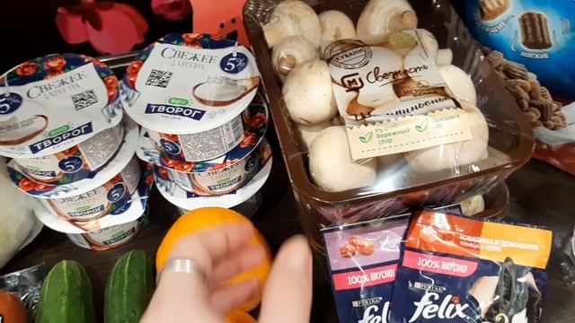Продуктовая закупка из магазина "Магнит"?