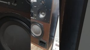 2. Акустическая система Radiotehnika 35ас-201 S90