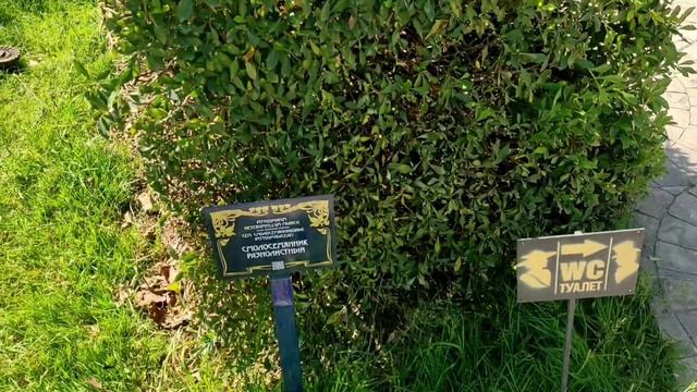 ПАРУСНАЯ ЯХТА ⛵ Сувениры ? 9, 10 день смотреть онлайн