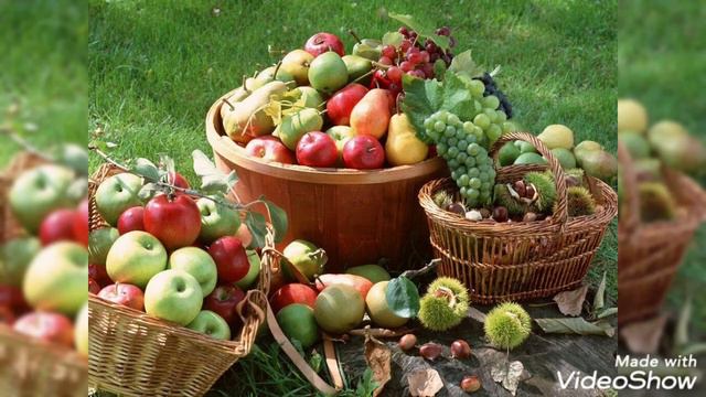 ДАРЫ ПРИРОДЫ!УРОЖАЙ!#веселаяпесняойсадвиноград#хорошеенастроение