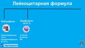 Клиническая лабораторная диагностика. Лекция 3