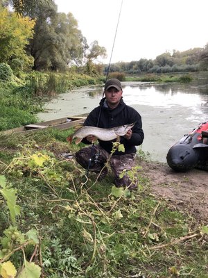 Ловля Щуки и Судака на Дону