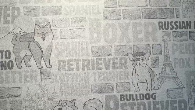 Коллекция «Лаки» - стильный художественный альбом о собаках в стиле мультипликации. смотреть онлайн