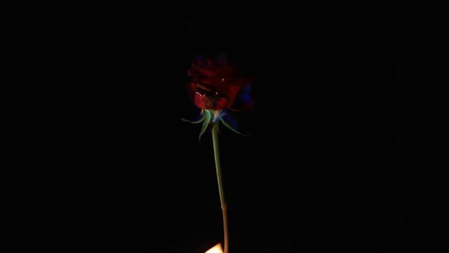 SONETO XVII - PABLO NERUDA смотреть онлайн