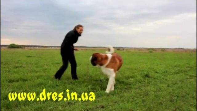 Обучение команде Поворот