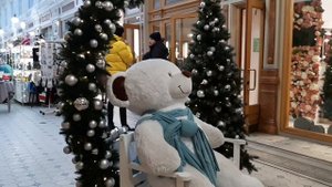 Новогодний Санкт - Петербург - 2023.