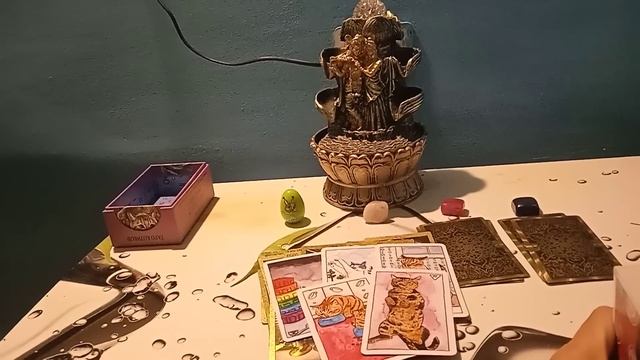 крысы рядом, что вынюхивают смотреть онлайн