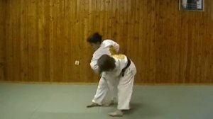 Детская программа экзаменов на пояса в Реальном айкидо на коричневый пояс