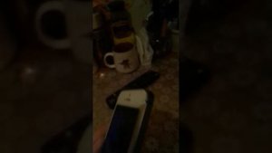 Что делать если тач скрин или экран Айфона живёт своей жизнью