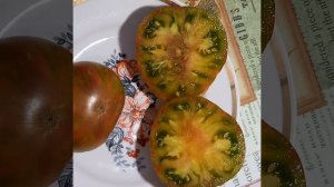 Томат ХИППОВАЯ ЗЕБРА. Коллекционный сорт. Ярославская обл.