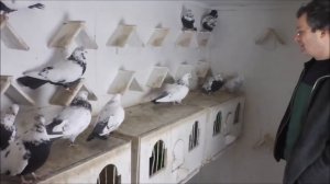 СВЕРДЛОВСКИЕ 2019 Катомина Александра