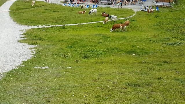 ТУРИСТИЧЕСКИЙ юг Германии. ПОХОД в ГОРЫ с AlpspiX. Фридрихсхафен, Меерсбург, Юберлинген, Равенсбург смотреть онлайн