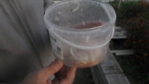 Шашлык свиной из карбонада "Чернышихинское мясо". Реальный отзыв.