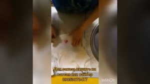 Убираем пятно от вишни без химии