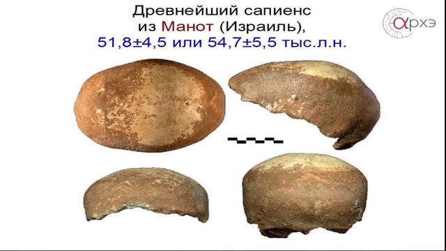 Станислав Дробышевский: "Палеоантропология: итоги 2015 года"