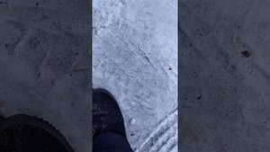 пластик на honda tact af24 Япония