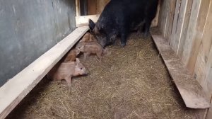 Простейшее объяснение, почему бога нет.