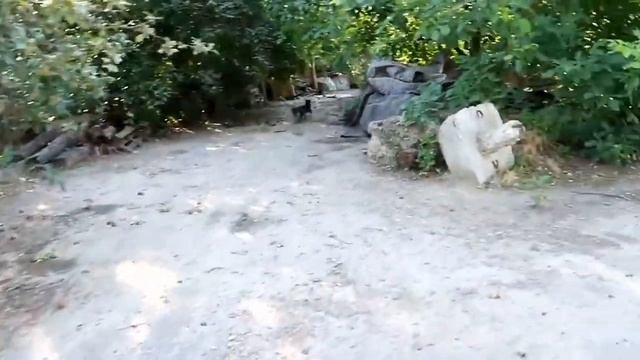 Ультразвуковой Отпугиватель Собак. Проверка на улице. Купить в Перми с Доставкой