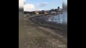 Землятресение 6,9😱/ цунами 😰/ Турция Измир 30.10.2020 / землятресение в двух городах Турции 😢