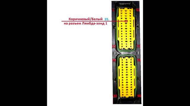 Daewoo Nexia - Распиновка ЭБУ 16 кл.