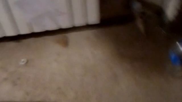 минимальные требования газовиков к котельной для запуска газа смотреть онлайн