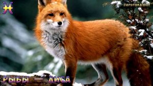 ВАШЕ ЖИВОТНОЕ ТАЛИСМАН ПО ЗНАКУ ЗОДИАКА