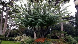 САДЫ  ВАТИКАНА