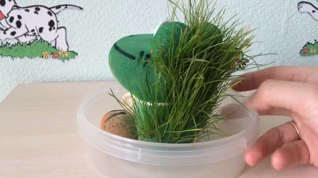 Выращиваем лягушку смотреть онлайн