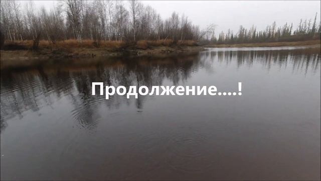 Щука не клюет, что делать? Батл приманок. смотреть онлайн