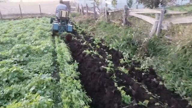 Самодельный минитрактор переломка 4х4 пахота плугом 2020