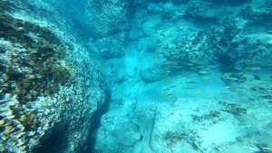 Сноркелинг в Нячанге, Вьетнам