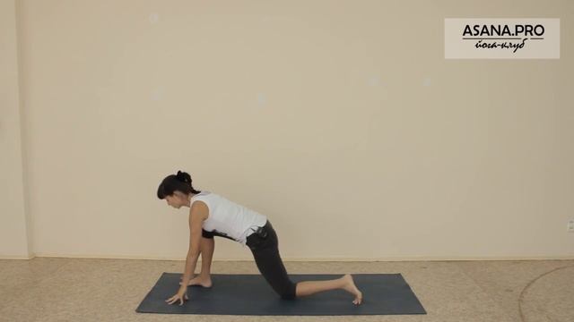 СУРЬЯ НАМАСКАР (вариация для начинающих и людей с плотным телосложением) смотреть онлайн