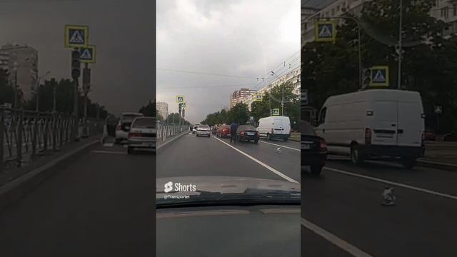 Массовое дтп #shorts
