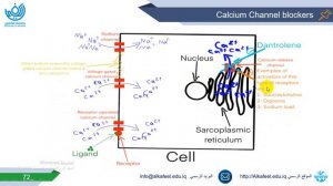 Hypertension Management  Part 3