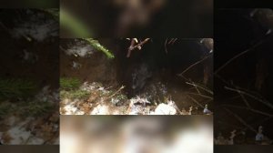 КАК ВИТАЛИЙ ИГНАТЮК ПОЙМАЛ КАБАНА!ЖЕСТЬ!