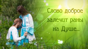 Как убрать все войны на планете в песне Союза Шадровых - ДОБРЫЕ ДЕЛА