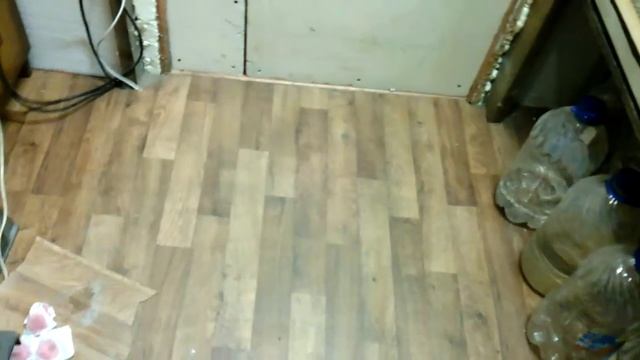 Содержание перепелов в гараже