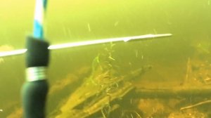 Подводная охота в Карелии на щуку.