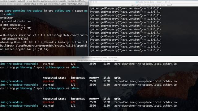 Zero Downtime JRE update смотреть онлайн