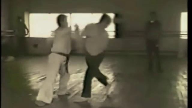 極秘映像 極真vs太極拳 смотреть онлайн