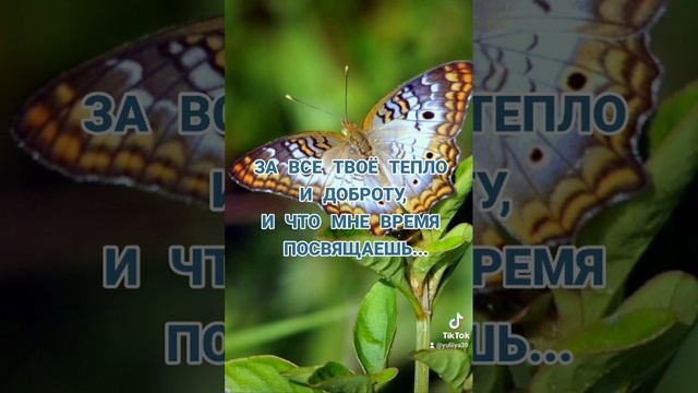 Музыкальная открытка