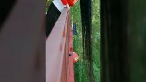 Самые длинные волосы в мире!