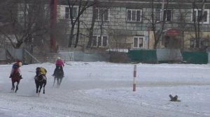 Приз ЗИМНИЙ

Скачка для лошадей чистокровной верховой породы старшего возраста, дист. 1400 м