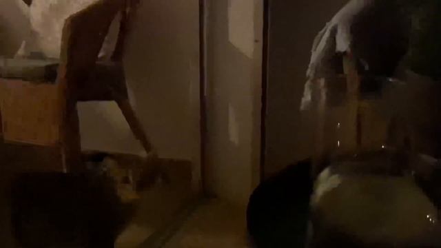 32. видеодневник | смена причёски, покупки, кофе с яблоками, рисунки и кошечка