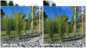 Sony A7RV VS Sony Alpha 1 | Camera Test & Comparison