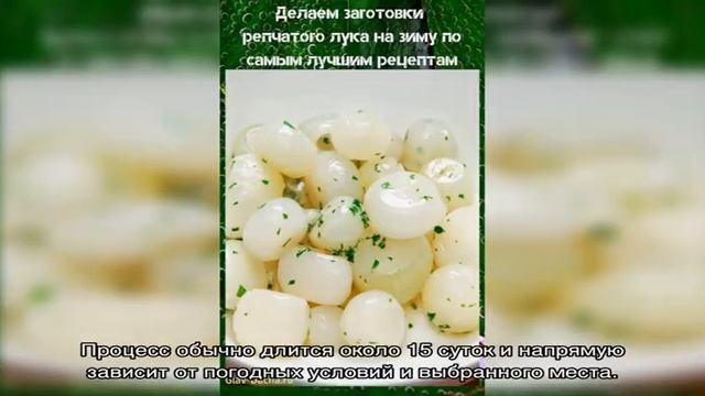 Делаем заготовки репчатого лука на зиму по самым лучшим рецептам смотреть онлайн
