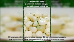 Делаем заготовки репчатого лука на зиму по самым лучшим рецептам
